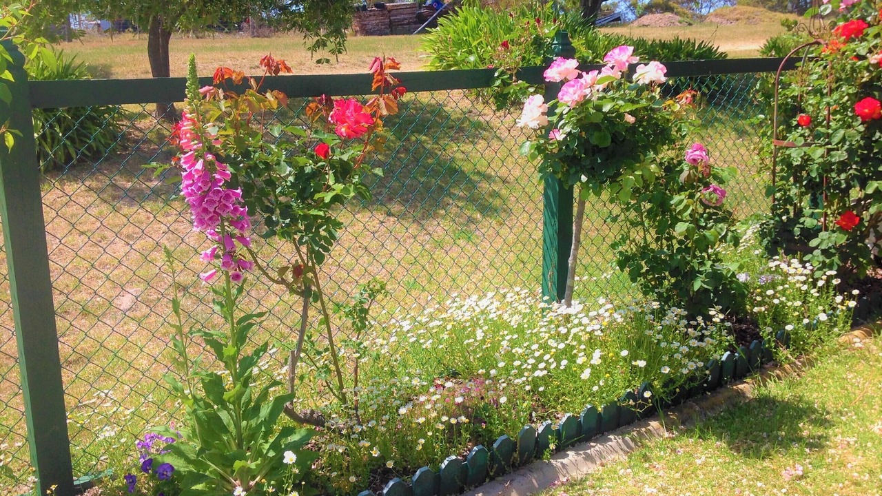 Photo of Outdoor in Kalimna West