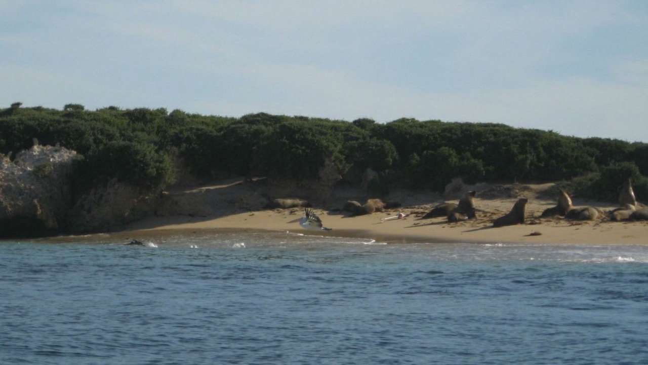 Photo of Others in Waterhouse