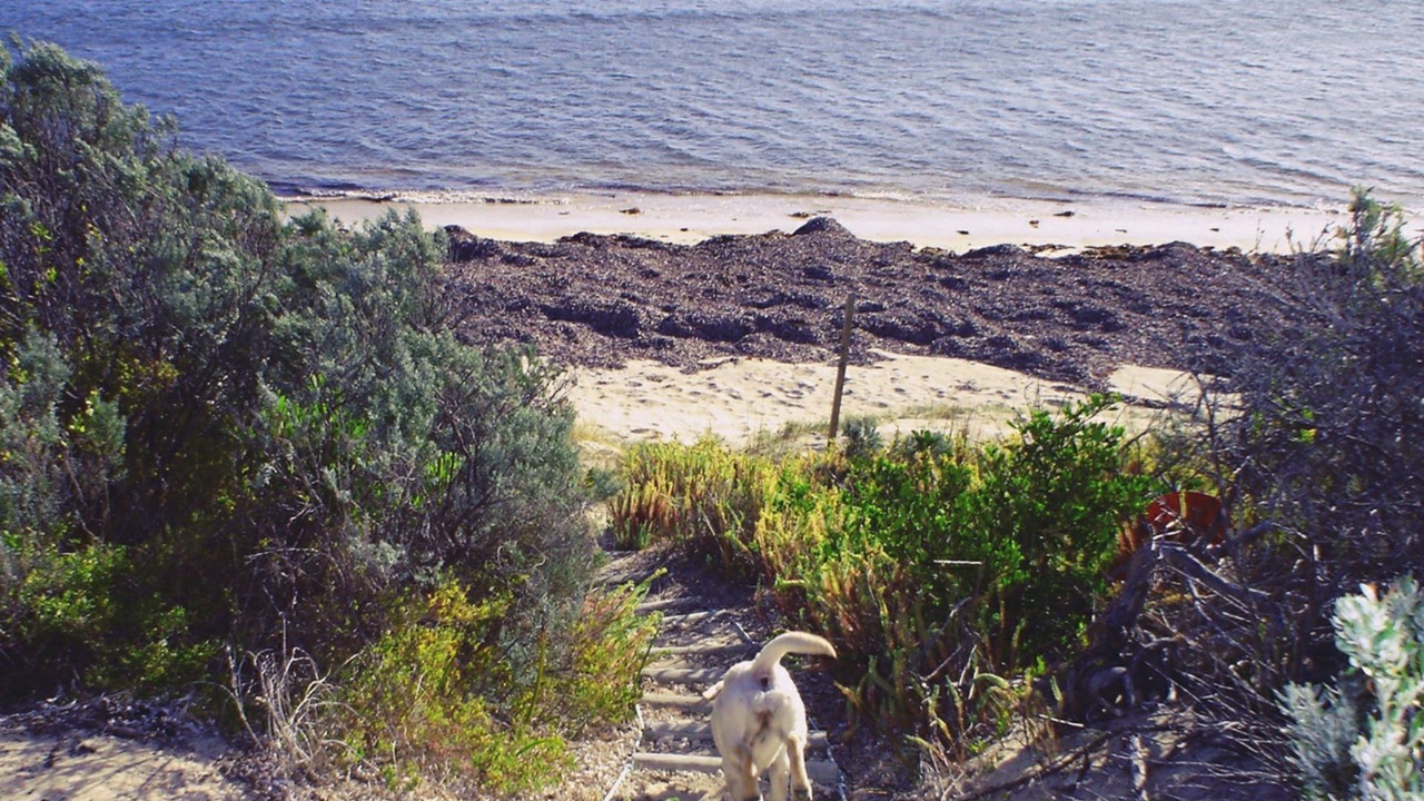 Photo of Others in Waterhouse