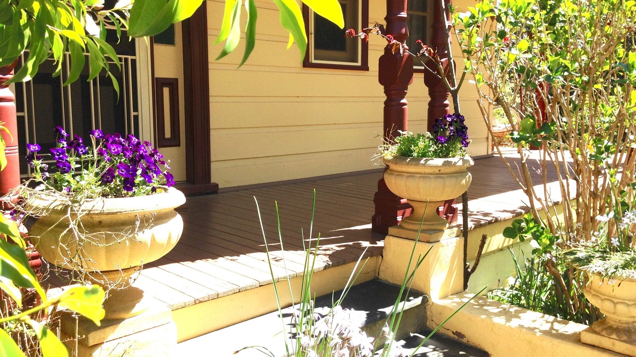 Photo of Others in Leura