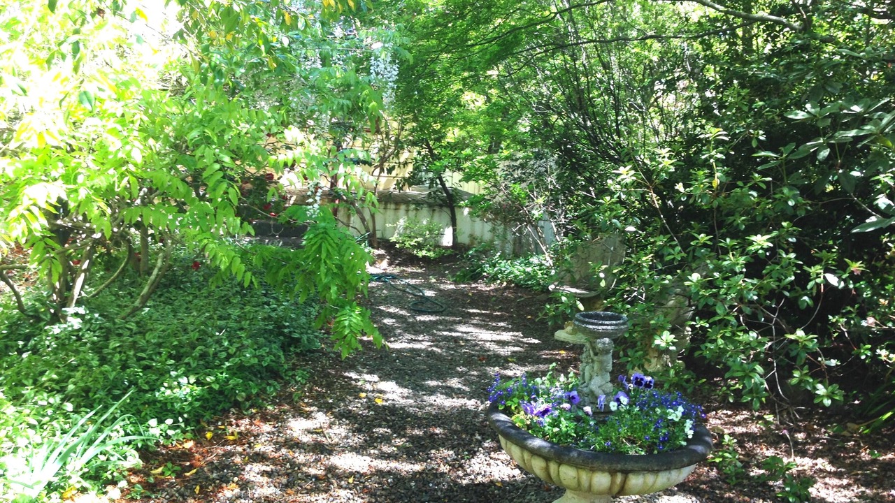 Photo of Outdoor in Leura