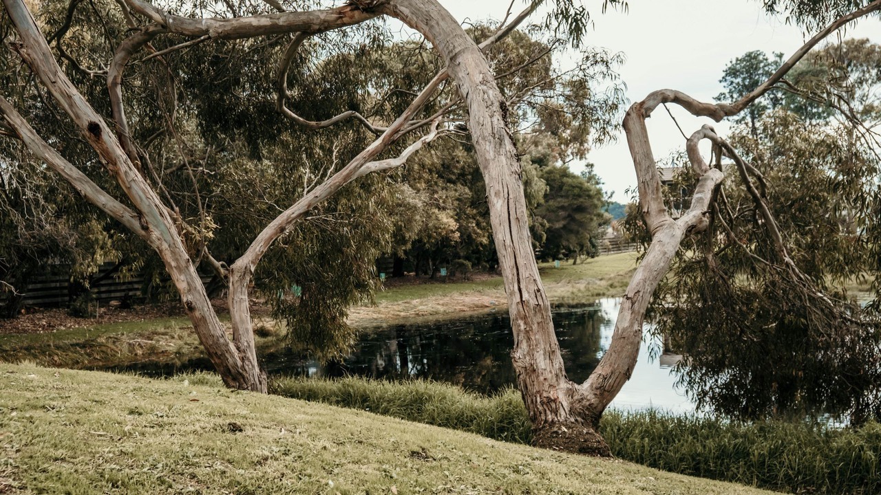 Photo of Outdoor in Port Fairy