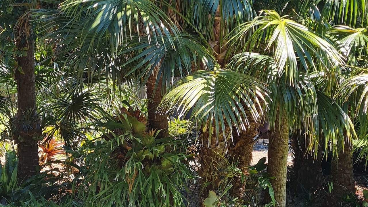 Photo of Outdoor in Elizabeth Beach