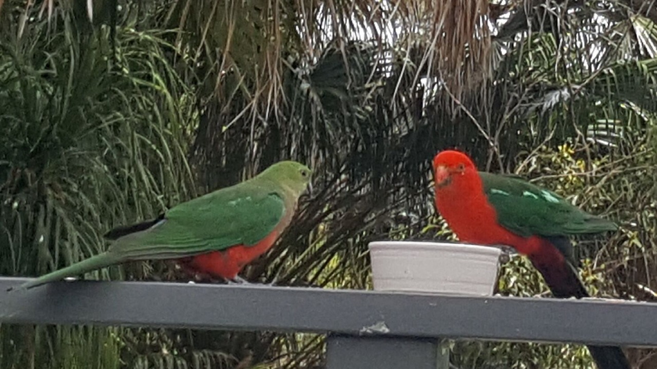 Photo of Others in Elizabeth Beach