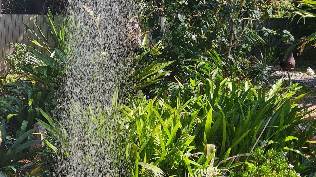 Photo of Outdoor in Elizabeth Beach