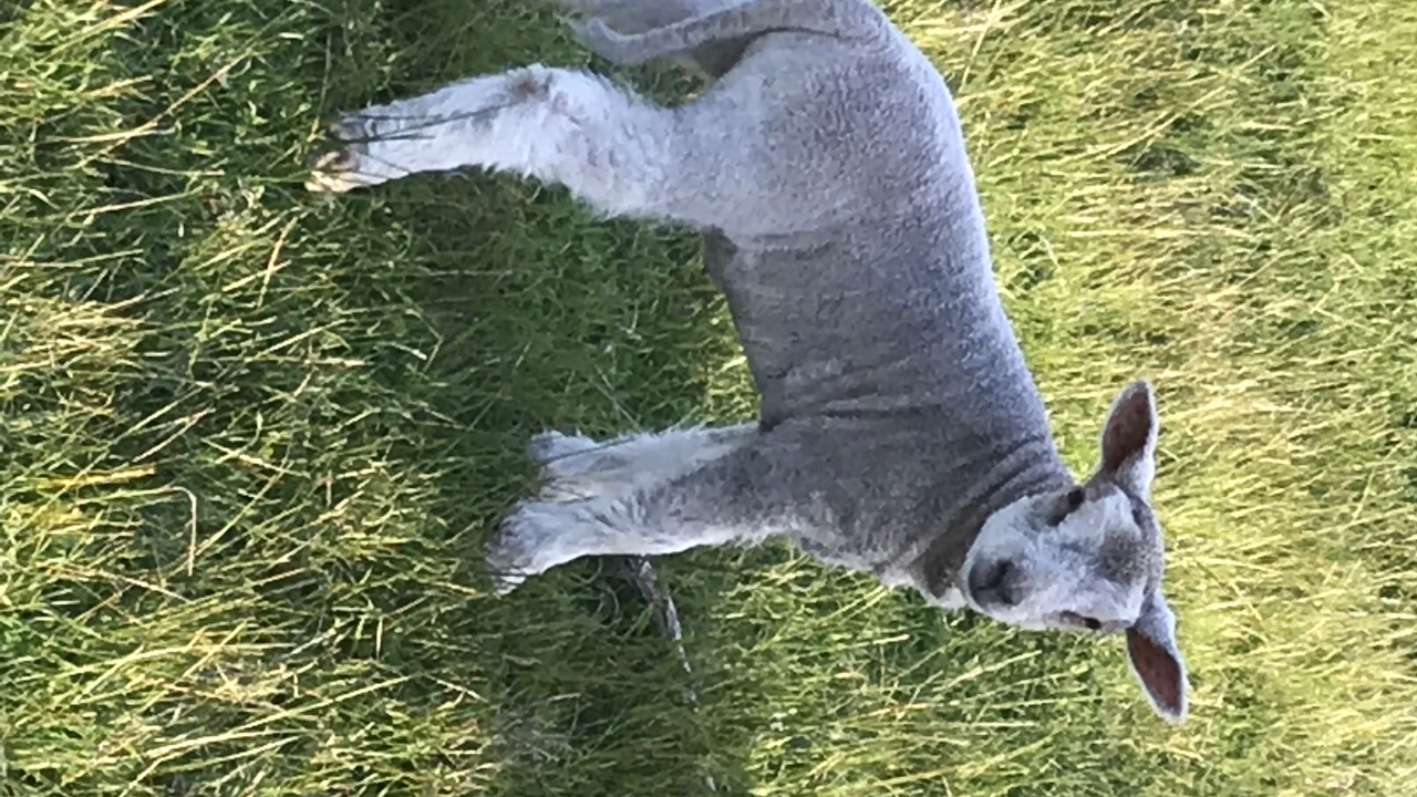 Photo of Outdoor in Balingup