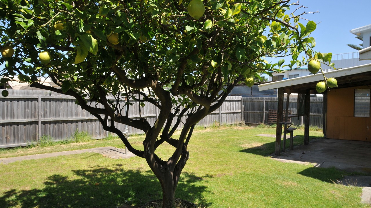 Photo of Outdoor in Indented Head