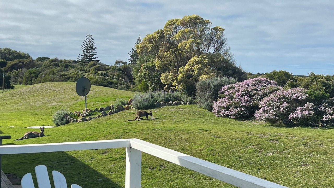 Photo of Outdoor in Windy Harbour