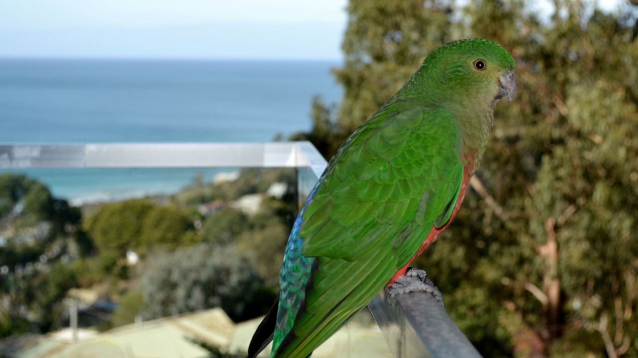 Photo of Others in Wye River