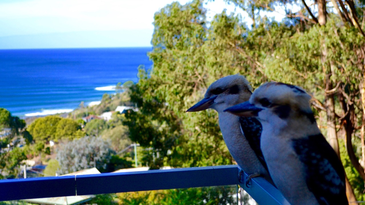 Photo of Others in Wye River