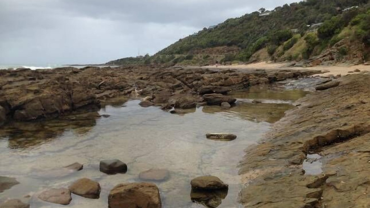 Photo of Others in Wye River