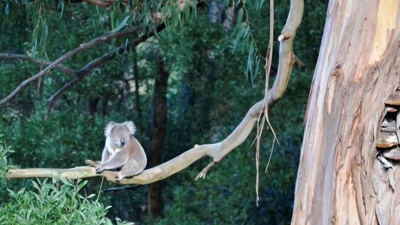 Photo of Others in Wye River
