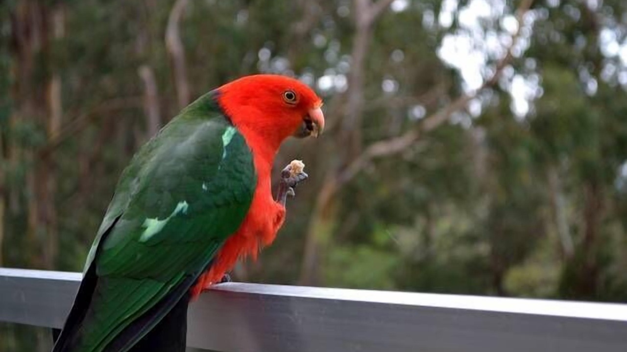 Photo of Others in Wye River