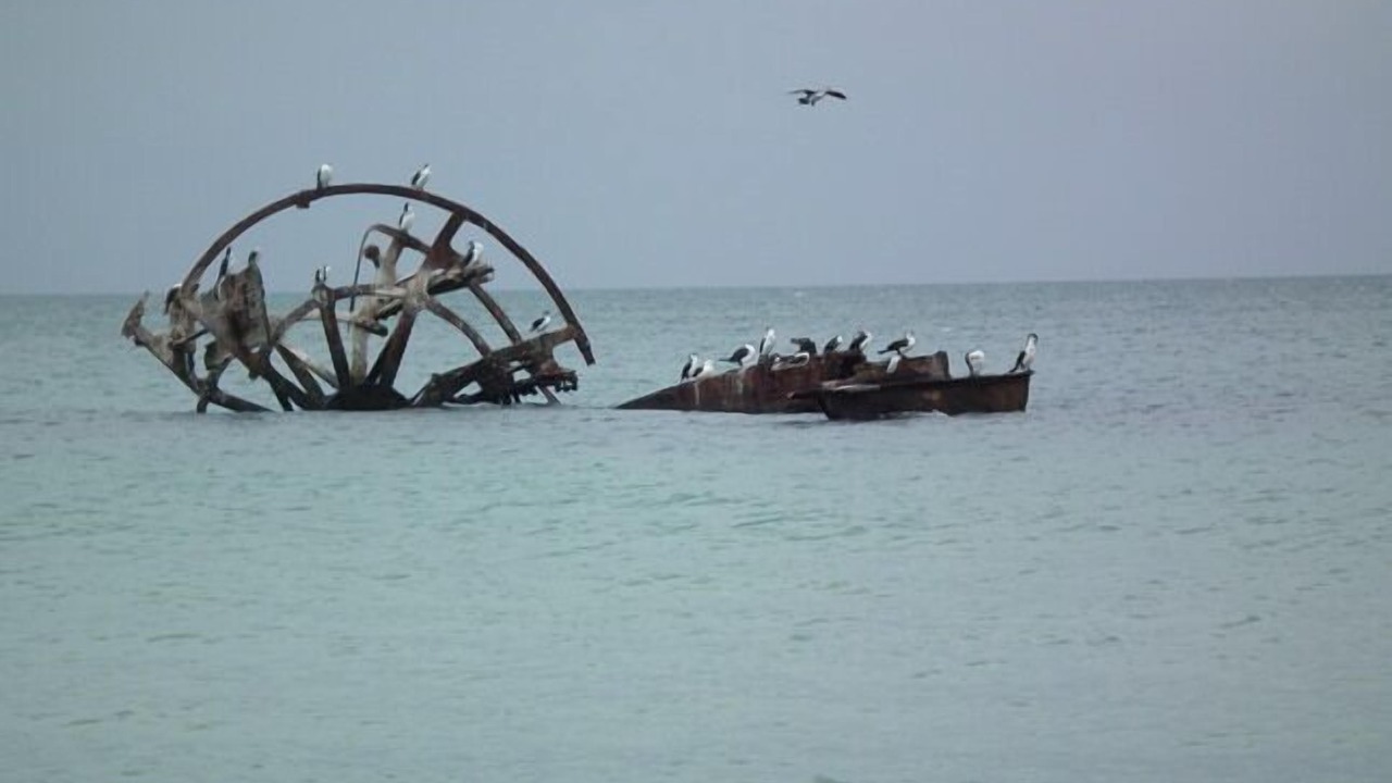 Photo of Others in Indented Head