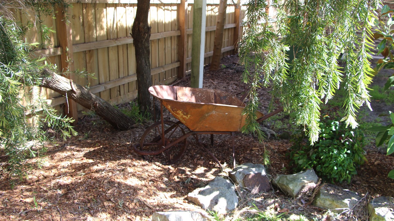 Photo of Outdoor in Healesville