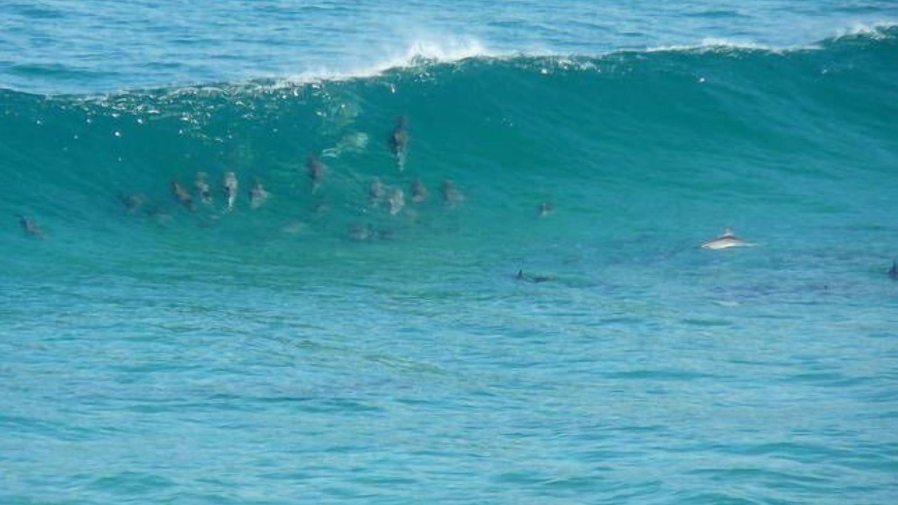 Photo of Others in Wright