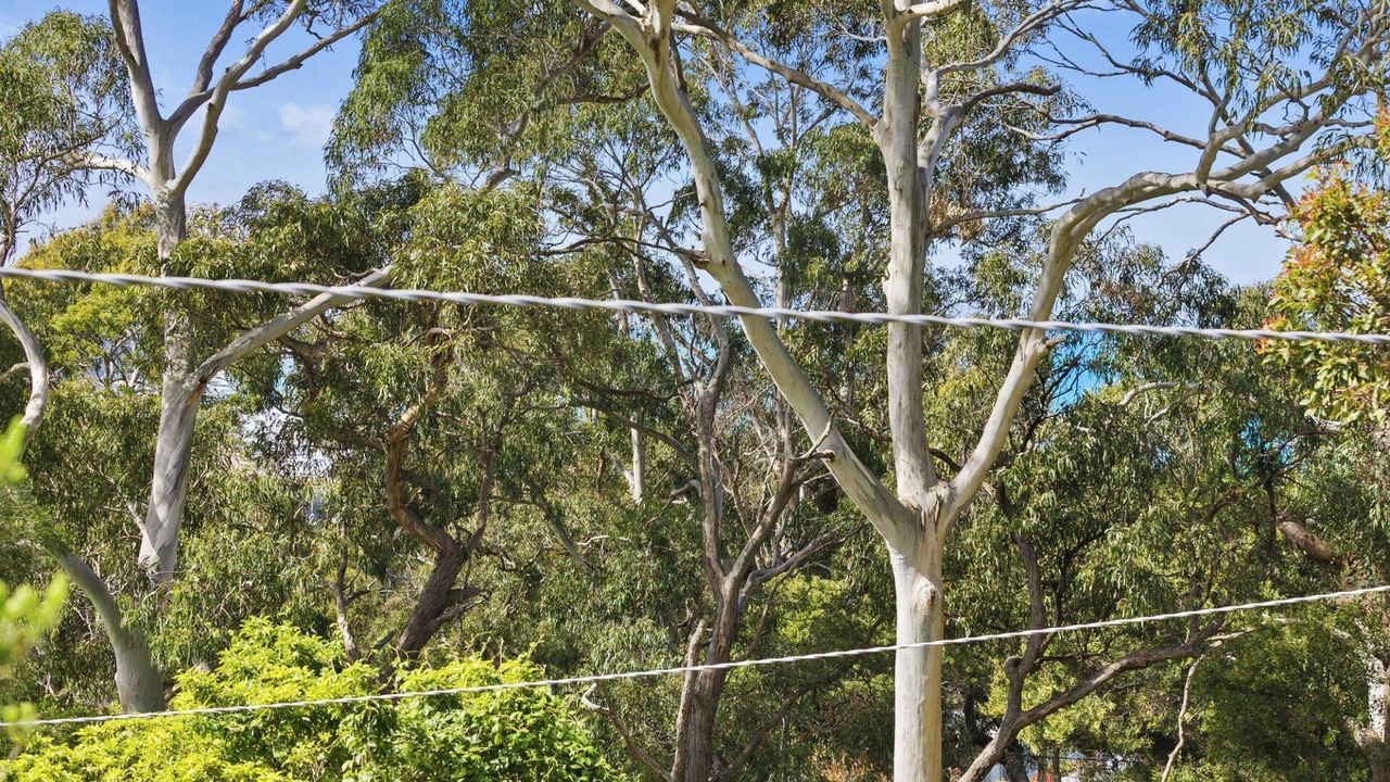 Photo of Others in Lorne