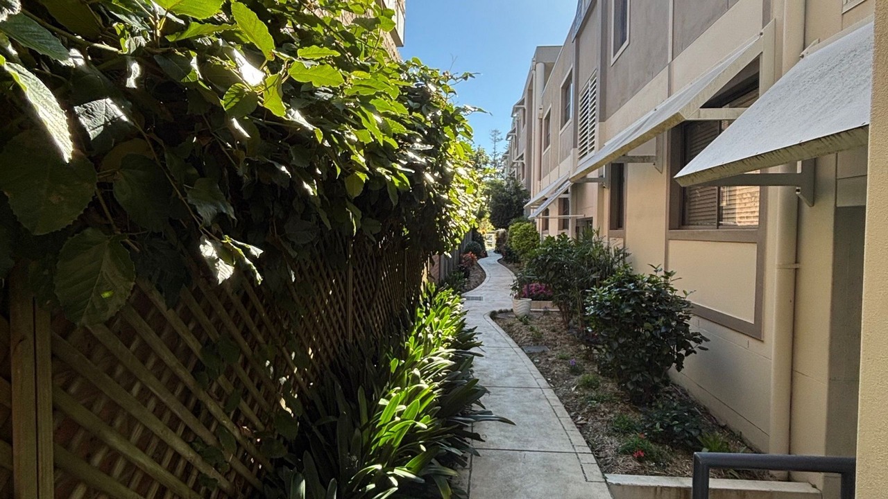 Photo of Outdoor in South West Rocks