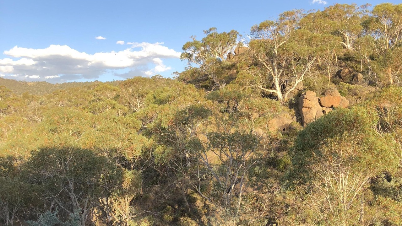 Photo of Others in East Jindabyne