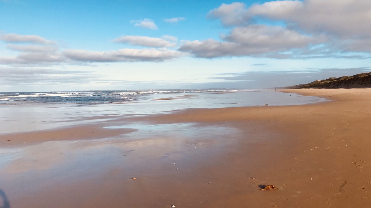 Photo of Others in Venus Bay