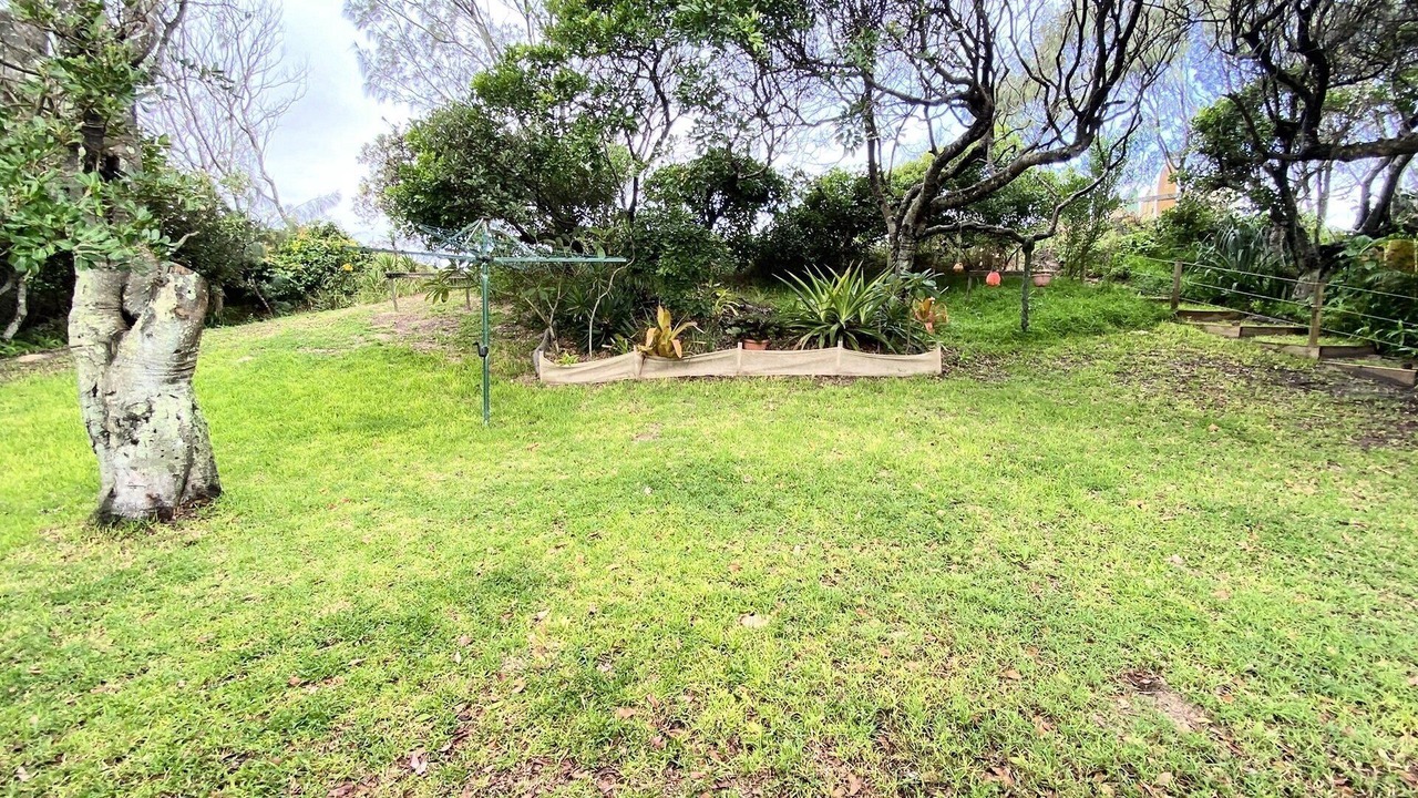 Photo of Outdoor in Wooli