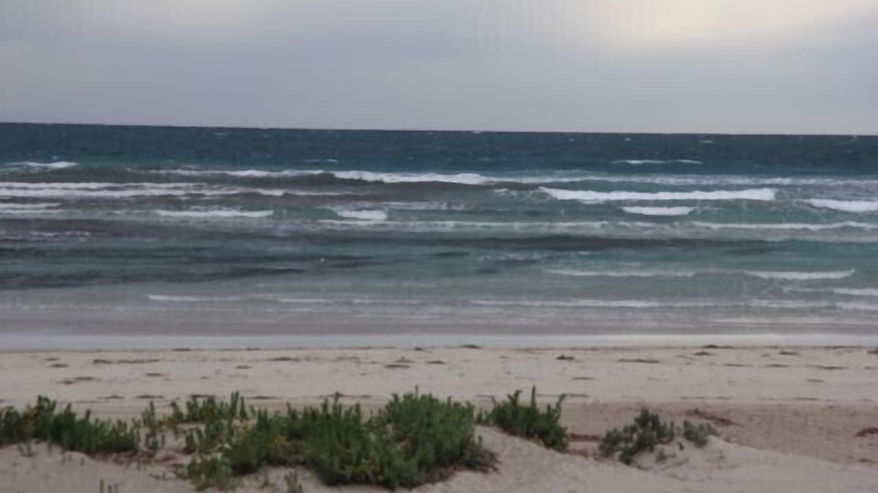 Photo of Others in Emu Bay