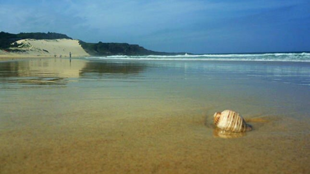 Photo of Others in Forster