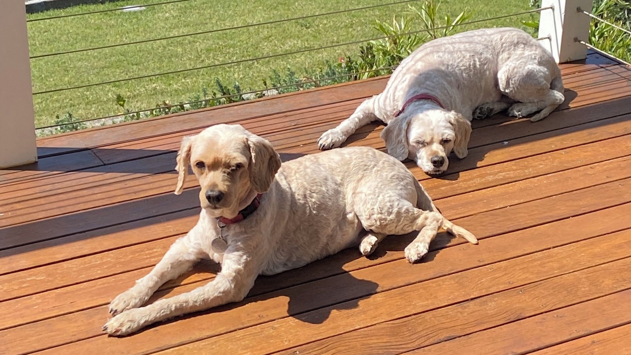Photo of Others in Forster