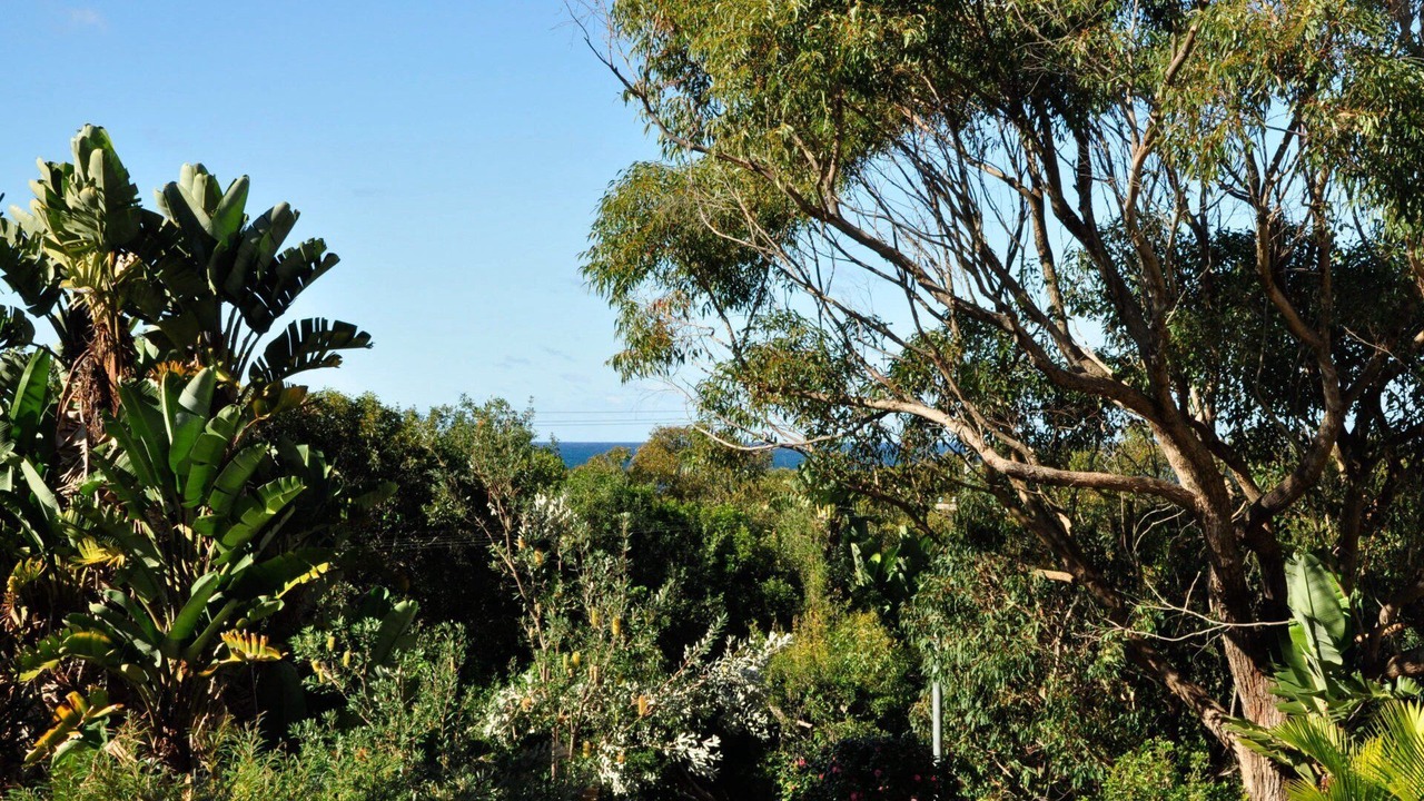 Photo of Outdoor in Killcare
