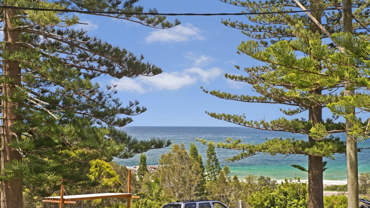 Photo of Others in Port Macquarie