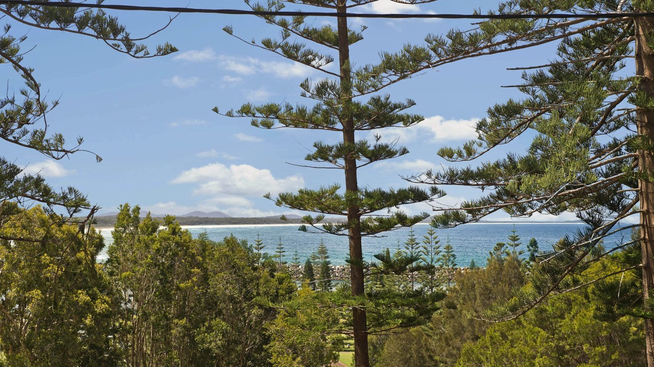 Photo of Others in Port Macquarie