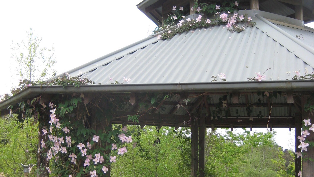 Photo of Outdoor in Katoomba
