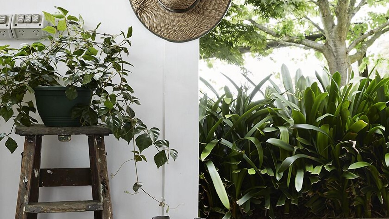 Photo of Patio Balcony in Lorne