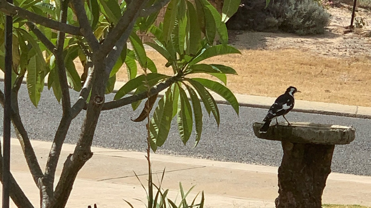 Photo of Outdoor in Green Head