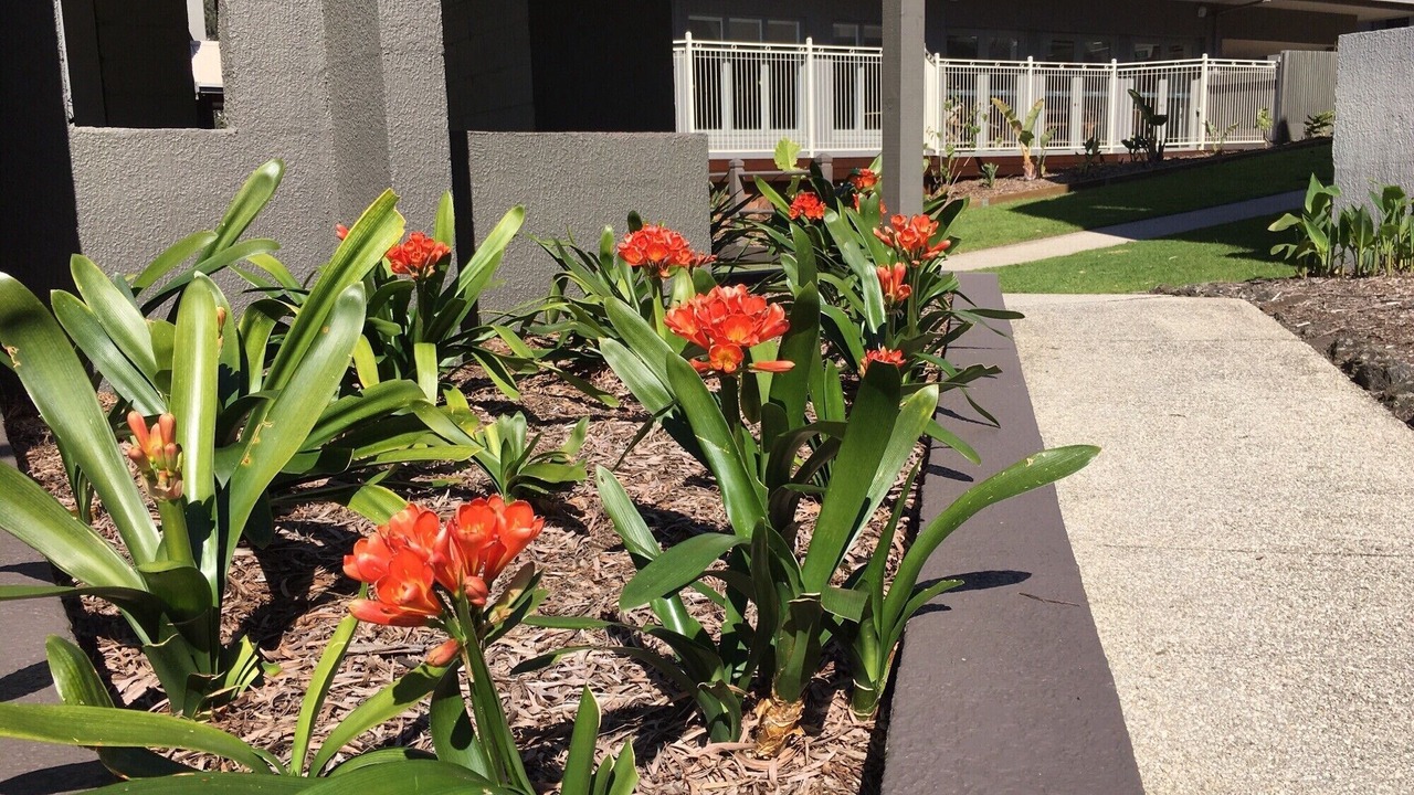 Photo of Outdoor in Lorne