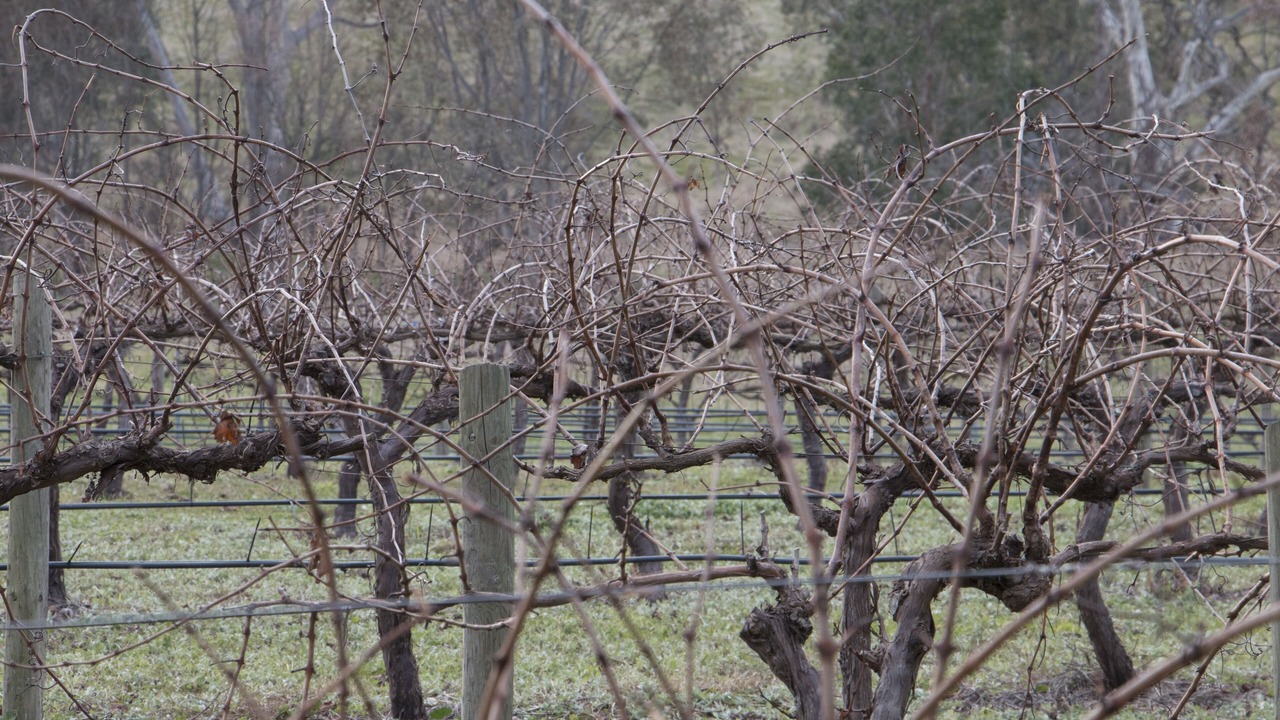 Photo of Outdoor in Tallarook
