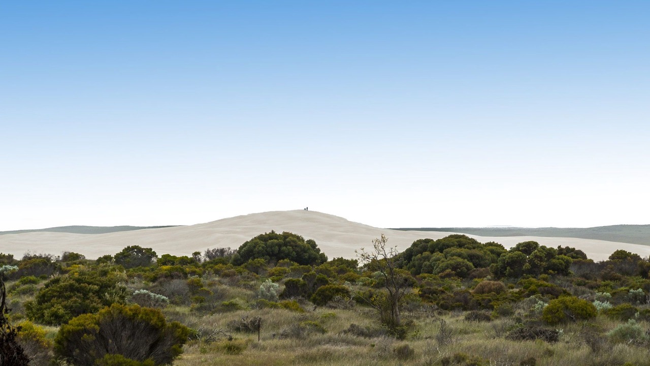 Photo of Others in Lancelin