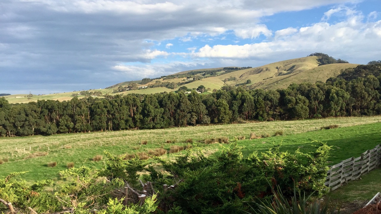 Photo of Outdoor in Apollo Bay
