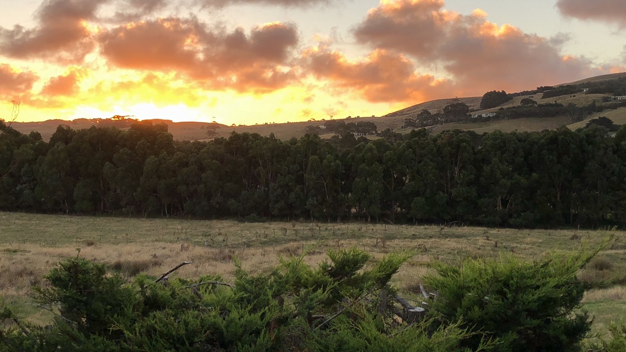 Photo of Outdoor in Apollo Bay