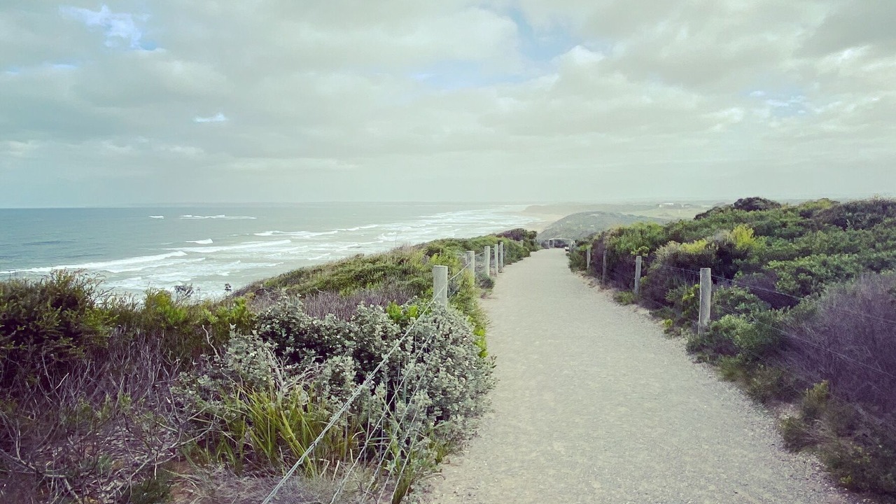 Photo of Others in Barwon Heads