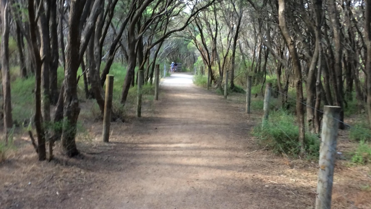 Photo of Others in Barwon Heads