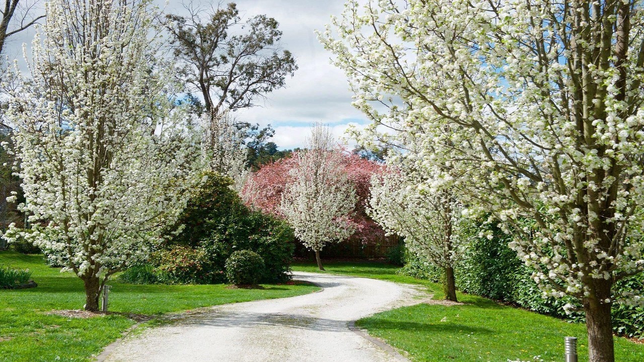 Photo of Outdoor in Moss Vale