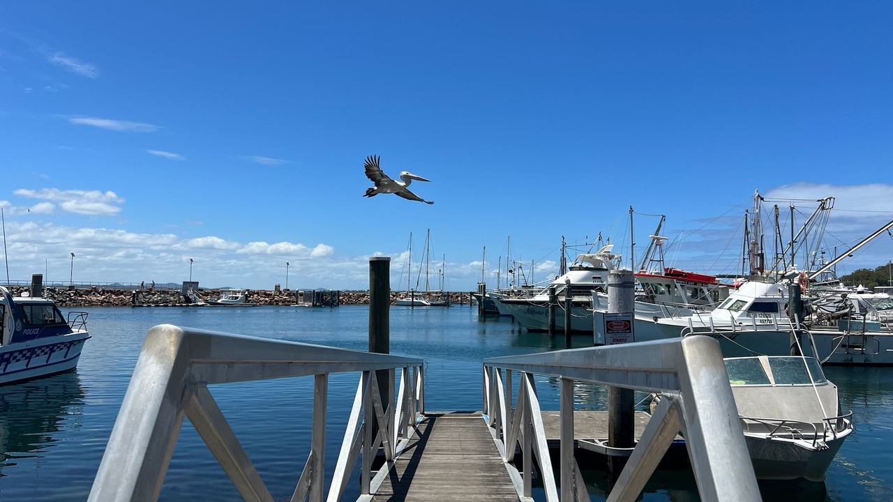 Photo of Others in Nelson Bay