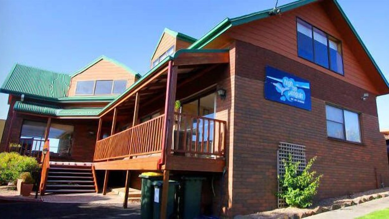 Photo of Outdoor in Penguin