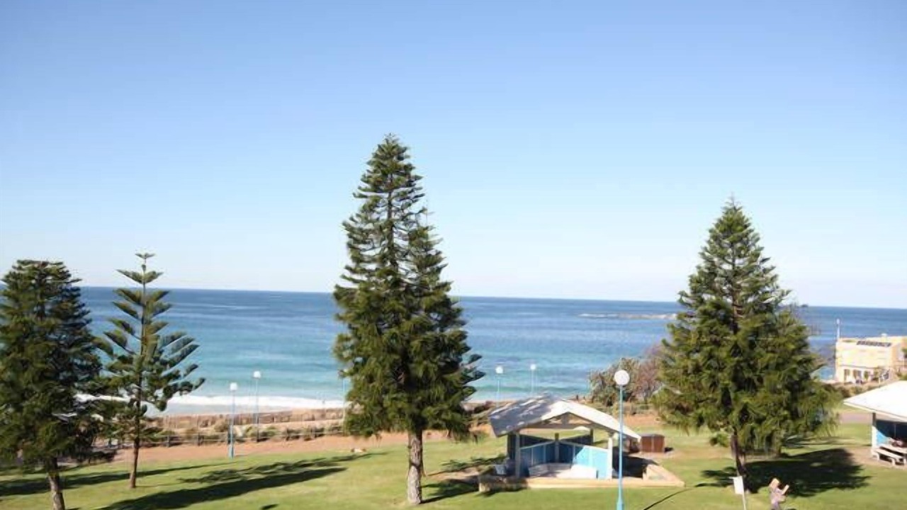 Photo of Others in Coogee