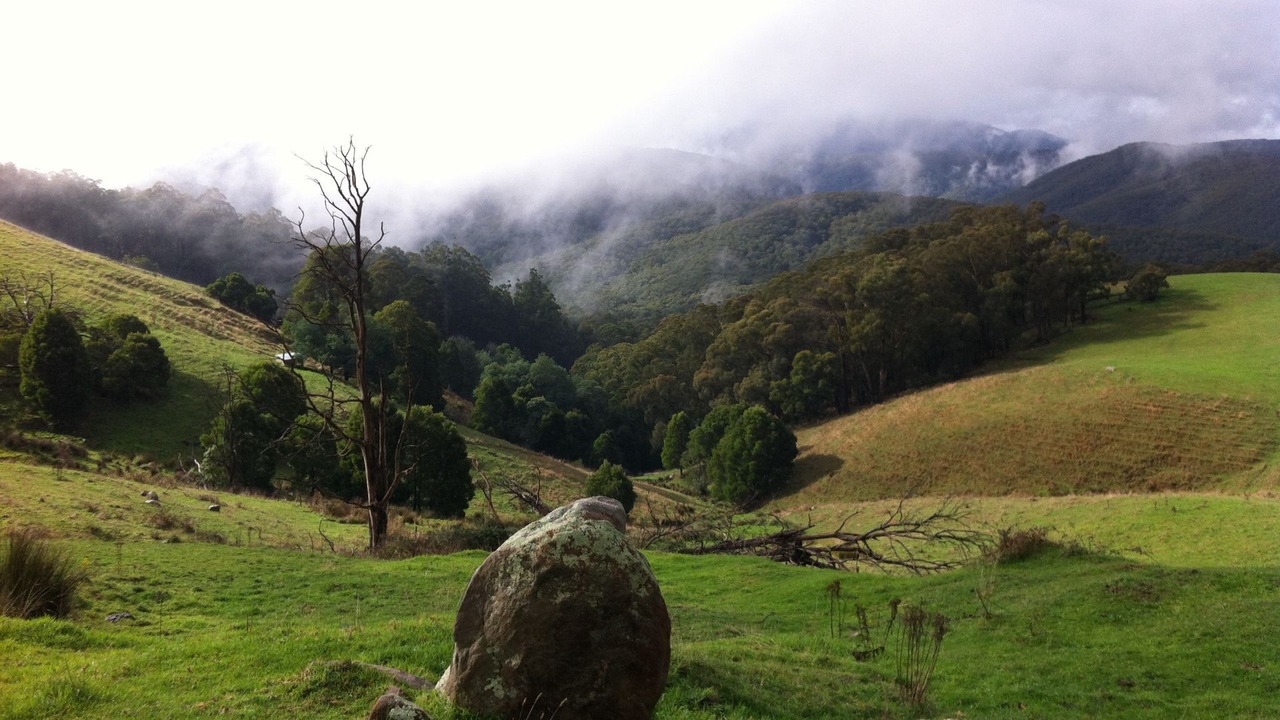 Photo of Outdoor in Neerim North