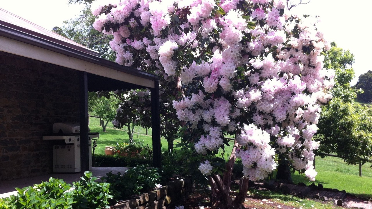 Photo of Outdoor in Neerim North