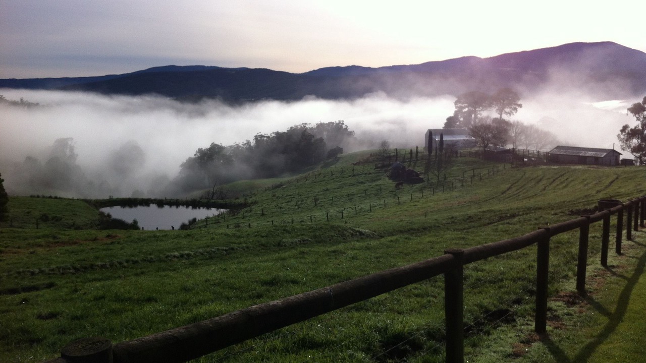 Photo of Outdoor in Neerim North