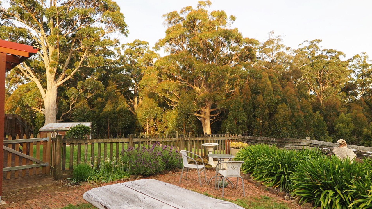 Photo of Outdoor in Devonport