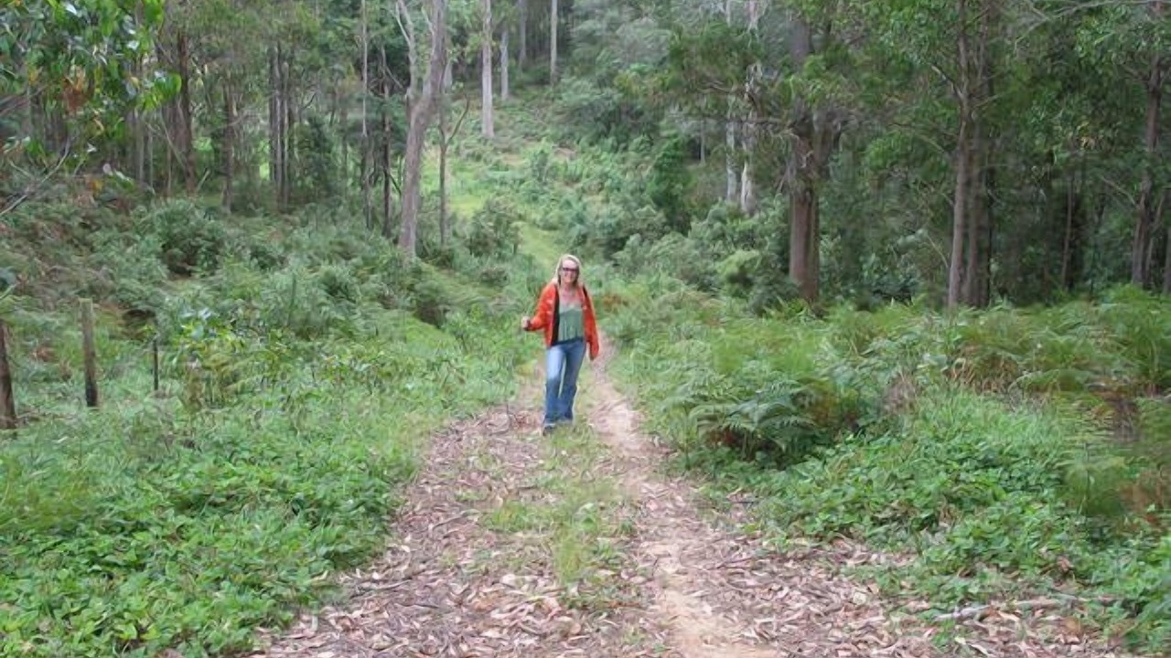 Photo of Outdoor in Devonport